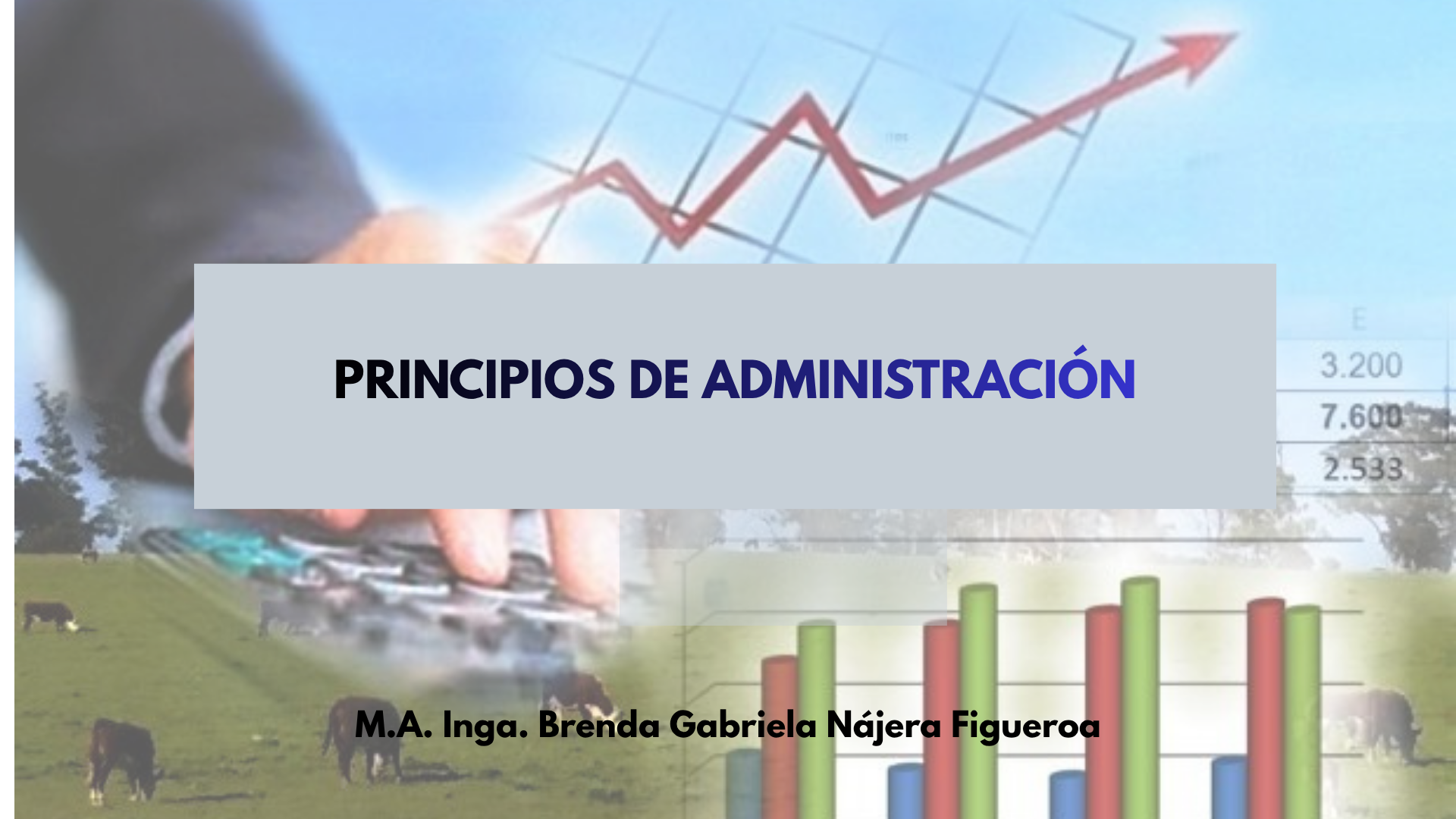 Etiqueta del curso