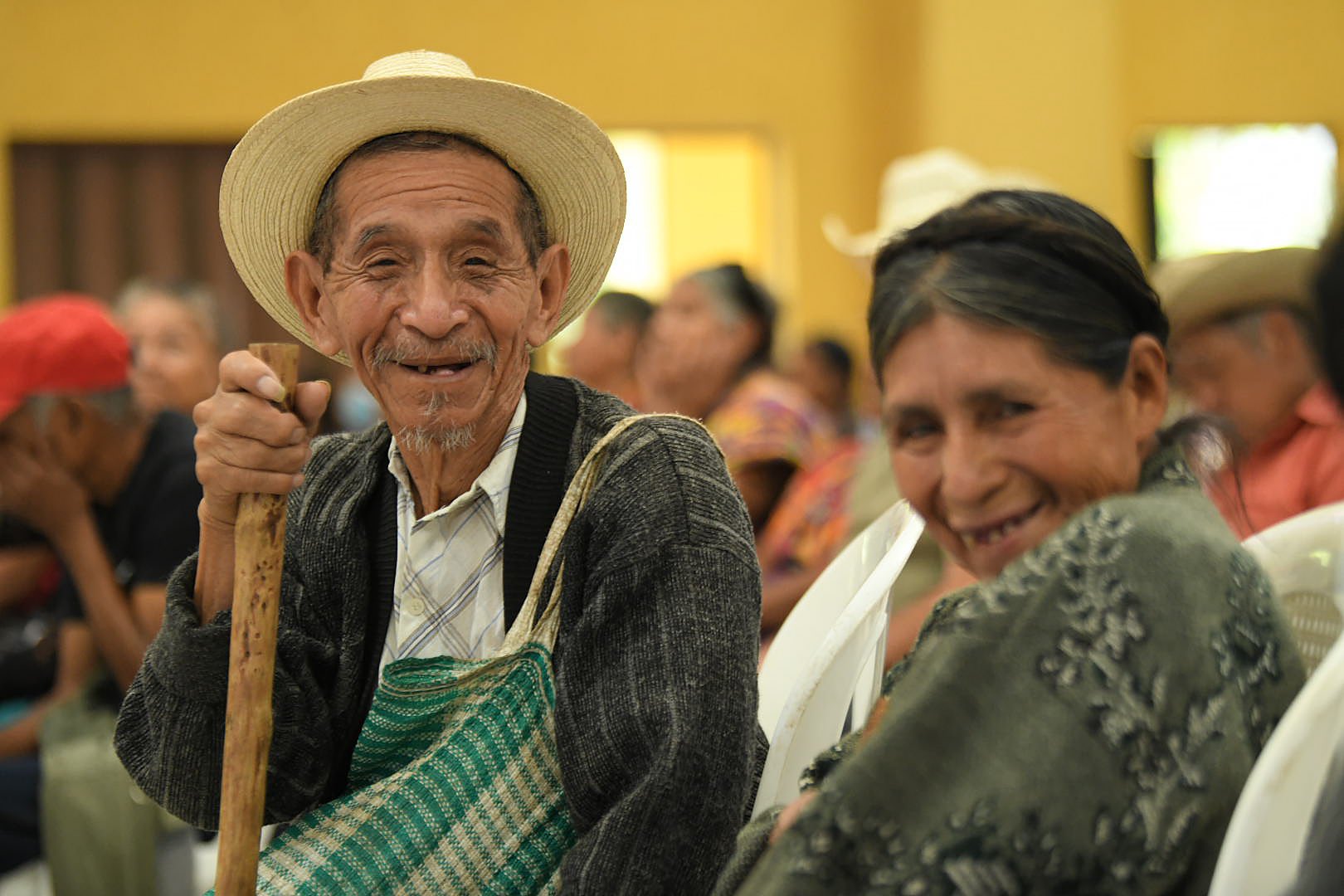 Psicología del Adulto Mayor 