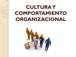 curso